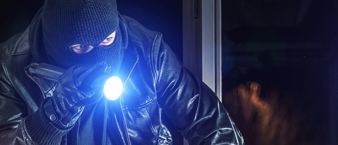 Inside the Mind of a Burglar