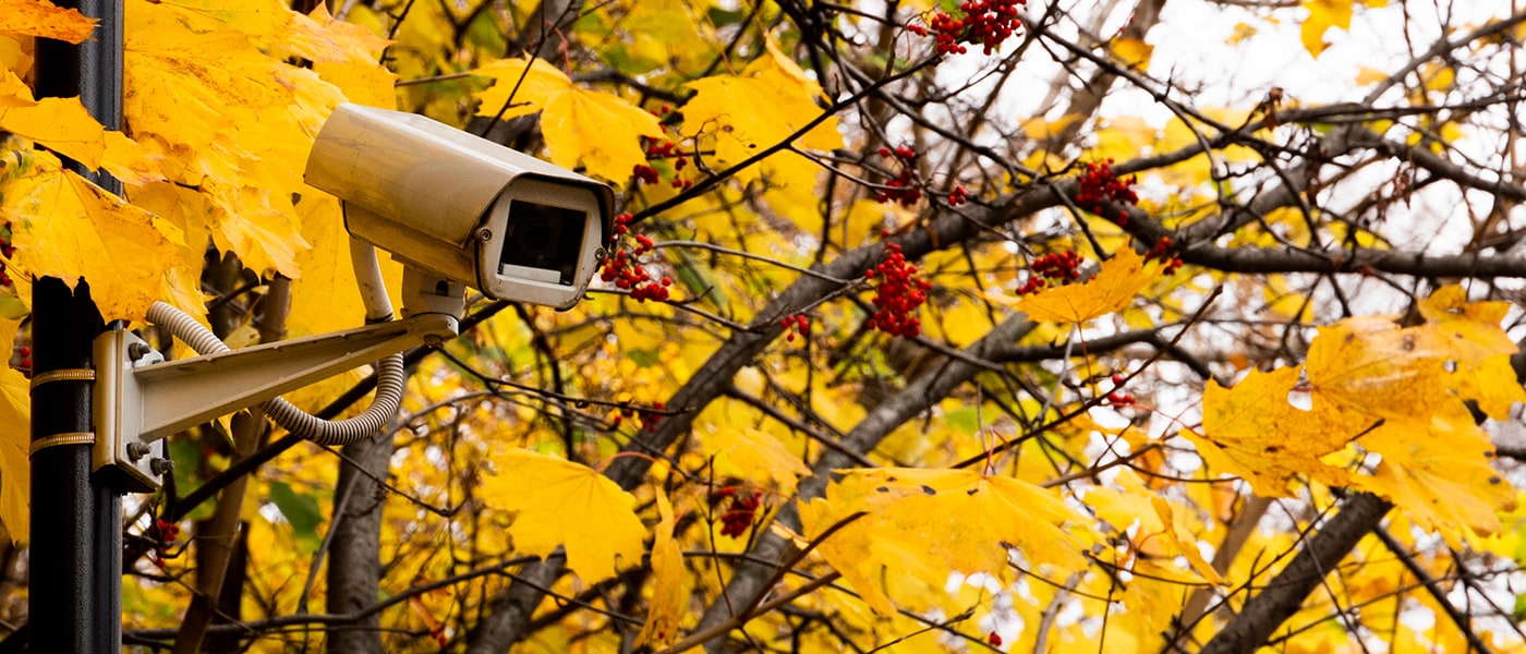 Stay Safe With These Fall Home Security Tips